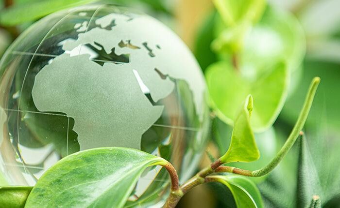 découvrez la durabilité de l'ecodriver 3, un outil innovant qui optimise votre conduite tout en respectant l'environnement. apprenez comment cet appareil contribue à une consommation de carburant réduite et à des émissions moindres, tout en garantissant performance et fiabilité.