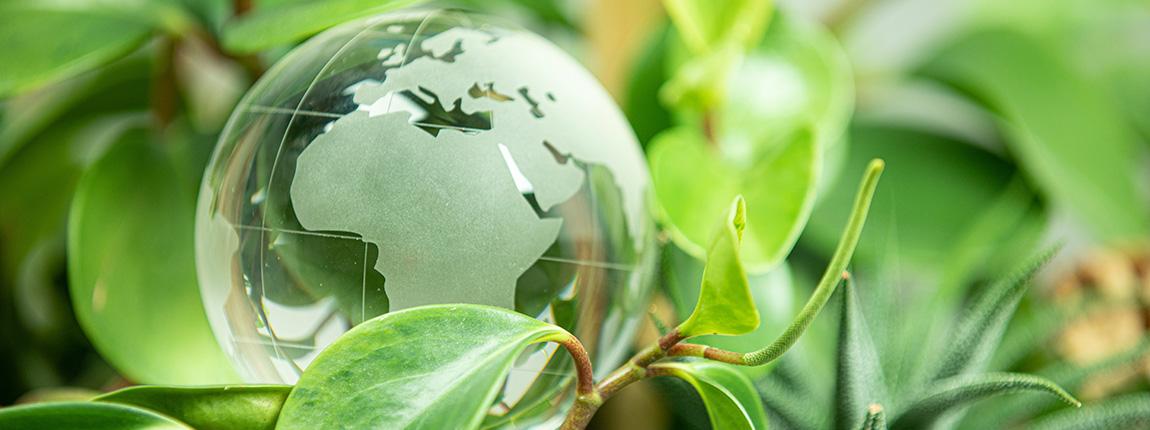 découvrez la durabilité de l'ecodriver 3, un outil innovant qui optimise votre conduite tout en respectant l'environnement. apprenez comment cet appareil contribue à une consommation de carburant réduite et à des émissions moindres, tout en garantissant performance et fiabilité.