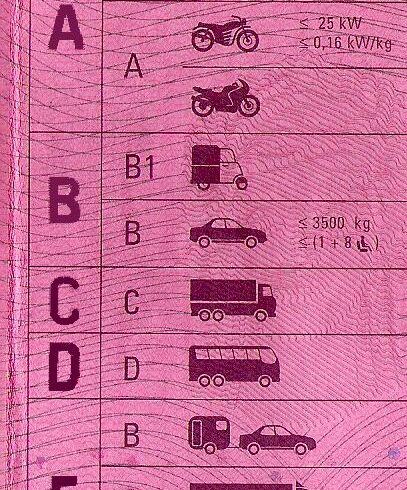 découvrez les différentes classifications de permis de conduire en france. informez-vous sur les catégories, les exigences et les modalités d’obtention pour chaque type de permis.