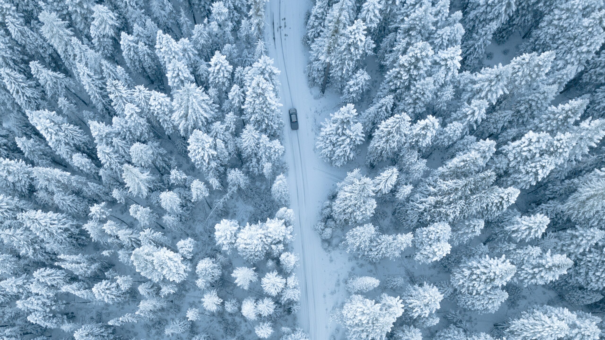 découvrez notre sélection des meilleurs pneus hiver 2016, offrant sécurité, performance et adhérence optimale sur les routes enneigées. préparez votre véhicule pour la saison froide avec les options les plus fiables et les conseils d'experts.