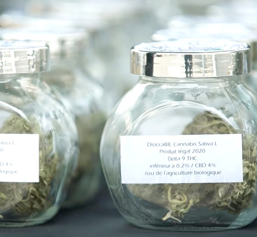 découvrez comment la législation sur le cbd influence les contrôles routiers en france. informez-vous sur les tests, les implications pour les conducteurs et les recommandations pour consommer du cbd en toute légalité.