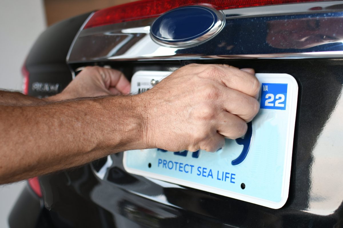 découvrez nos conseils et étapes pour le remplacement de la plaque d'immatriculation de votre véhicule ancien. assurez-vous que votre voiture historique demeure conforme aux réglementations actuelles tout en préservant son caractère unique.