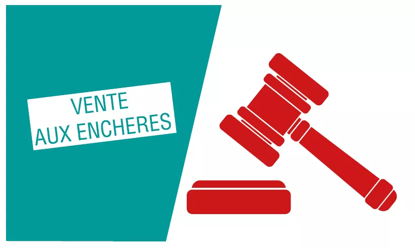 achetez ou vendez des biens uniques lors de notre vente aux enchères plc. découvrez des opportunités exceptionnelles tout en faisant des offres sur des objets variés. participez dès aujourd'hui et réalisez de bonnes affaires !